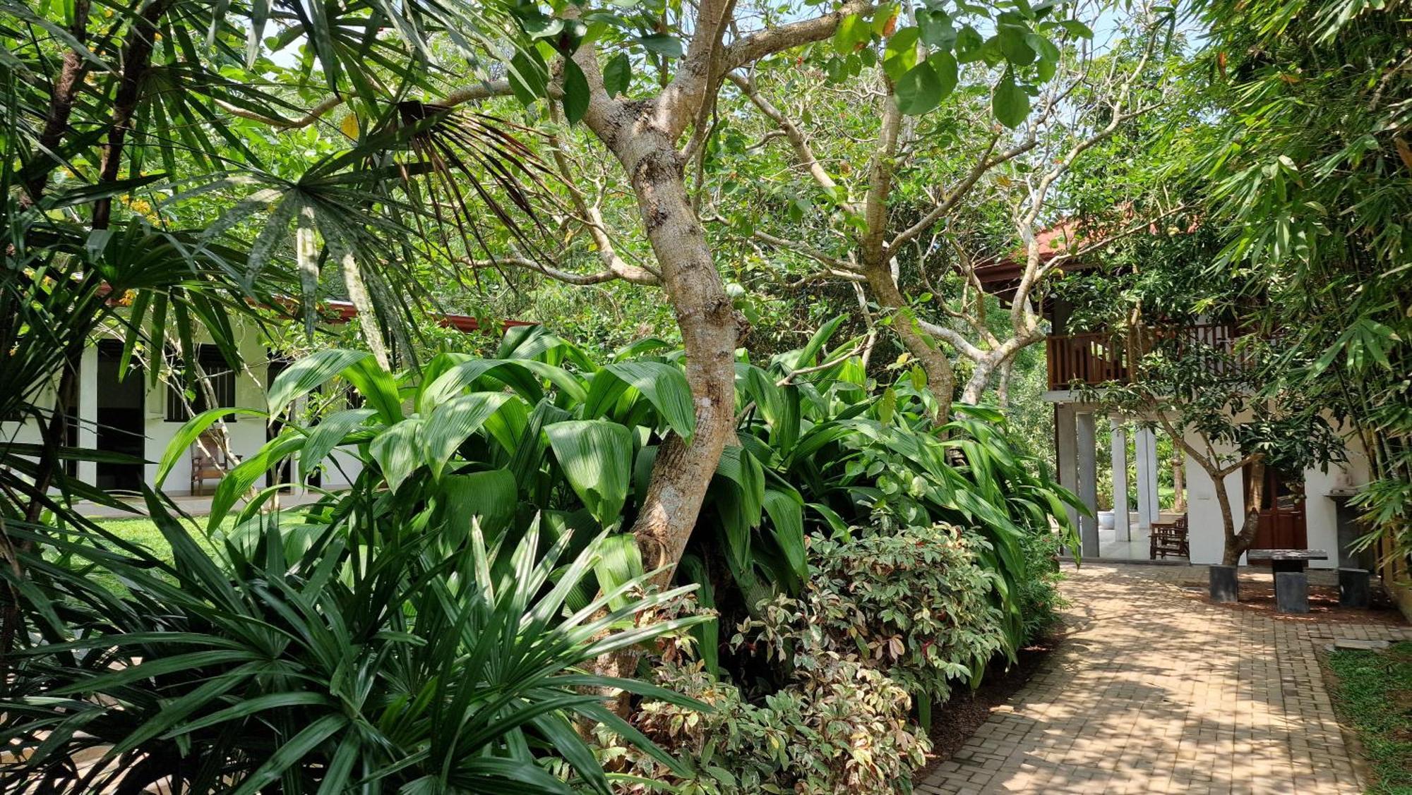 Villa Arana Bentota Esterno foto