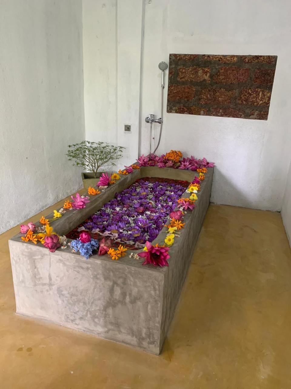 Villa Arana Bentota Esterno foto